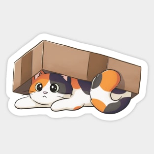 Cute Calico Cat Under Cardboard Box Sticker